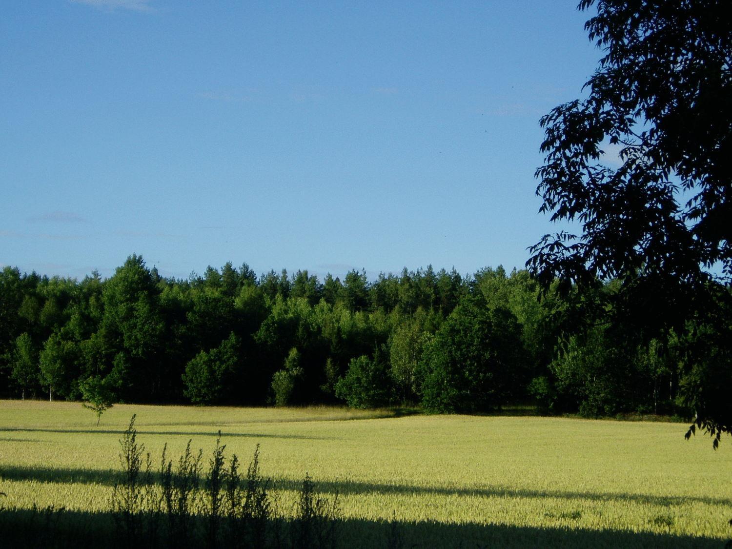 Lasta Gardshotell Strangnas